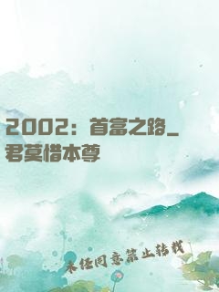 2002：首富之路
