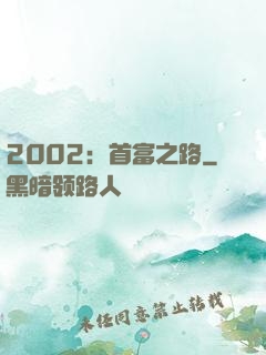 2002：首富之路