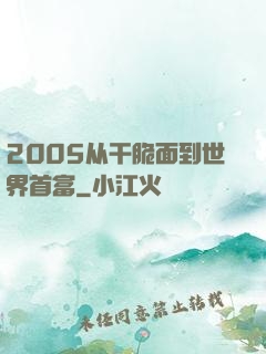 2005从干脆面到世界首富