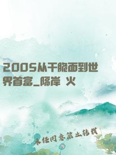 2005从干脆面到世界首富