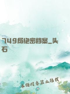 749局绝密档案