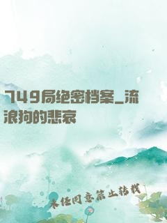 749局绝密档案