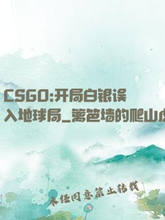 CSGO:开局白银误入地球局