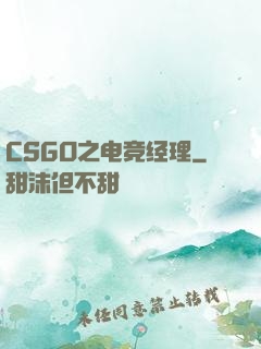 CSGO之电竞经理