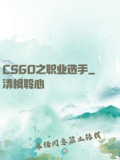 CSGO之职业选手
