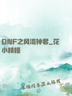 DNF之风流神君