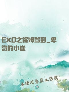 EXO之保姆驾到
