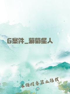 G案件