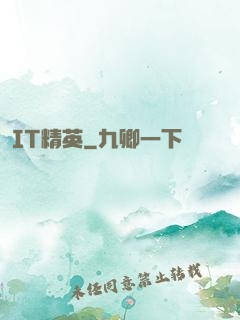 IT精英