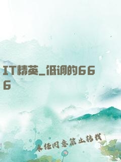 IT精英