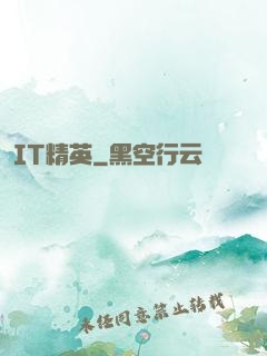 IT精英