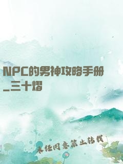 NPC的男神攻略手册