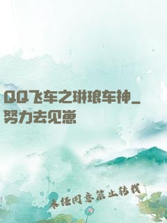 QQ飞车之琳琅车神