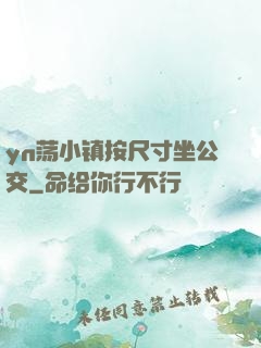 yn荡小镇按尺寸坐公交
