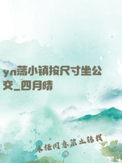 yn荡小镇按尺寸坐公交