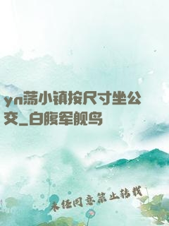 yn荡小镇按尺寸坐公交