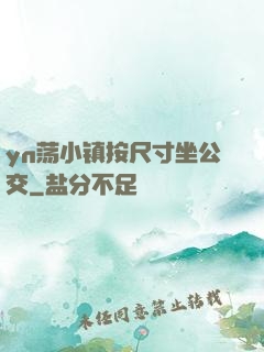 yn荡小镇按尺寸坐公交