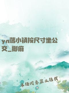 yn荡小镇按尺寸坐公交