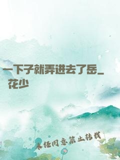 一下子就弄进去了岳