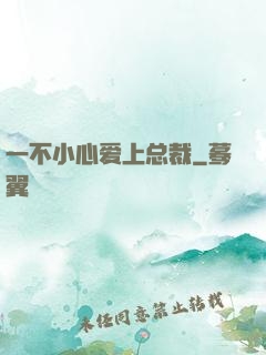 一不小心爱上总裁