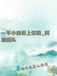 一不小心爱上总裁