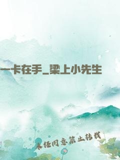 一卡在手