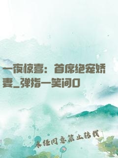 一夜惊喜：首席绝宠娇妻