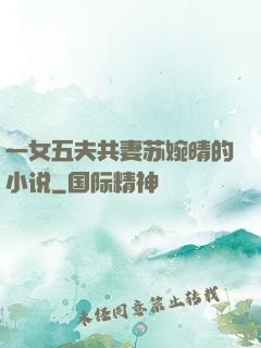 一女五夫共妻苏婉晴的小说