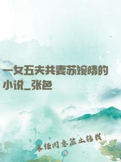 一女五夫共妻苏婉晴的小说