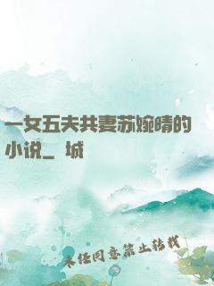 一女五夫共妻苏婉晴的小说