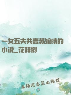 一女五夫共妻苏婉晴的小说