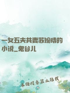 一女五夫共妻苏婉晴的小说