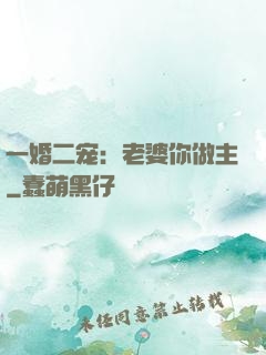 一婚二宠：老婆你做主