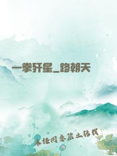 一拳歼星