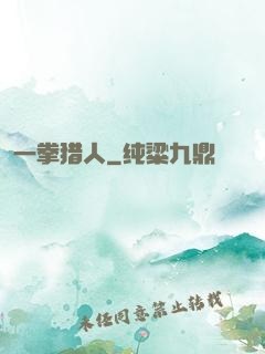一拳猎人