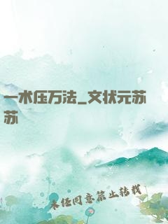 一术压万法