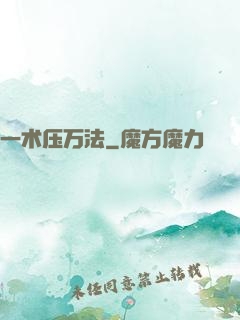 一术压万法