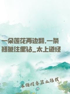 一朵莲花两边翻,一条鳝鱼往里钻