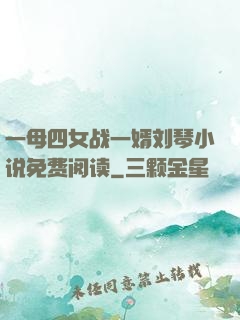 一母四女战一婿刘琴小说免费阅读