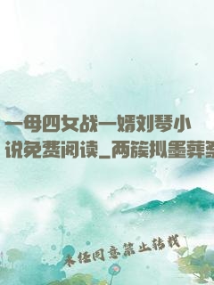 一母四女战一婿刘琴小说免费阅读