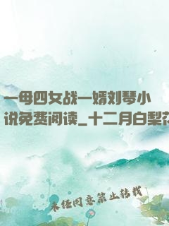 一母四女战一婿刘琴小说免费阅读