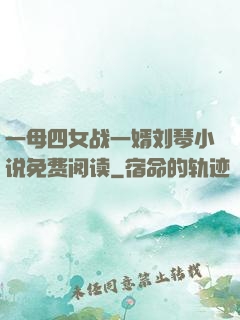 一母四女战一婿刘琴小说免费阅读