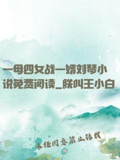 一母四女战一婿刘琴小说免费阅读