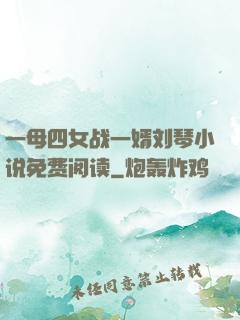 一母四女战一婿刘琴小说免费阅读