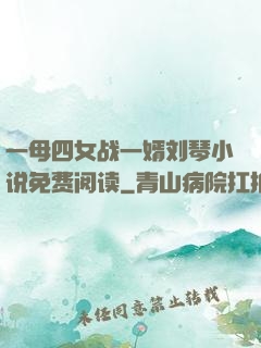 一母四女战一婿刘琴小说免费阅读