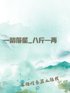 一箭落星
