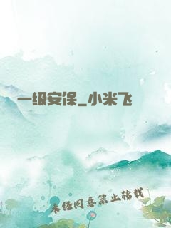 一级安保