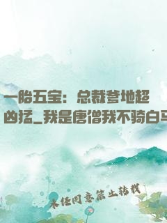 一胎五宝：总裁爹地超凶猛