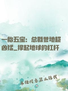 一胎五宝：总裁爹地超凶猛