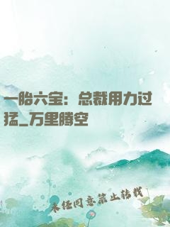 一胎六宝：总裁用力过猛